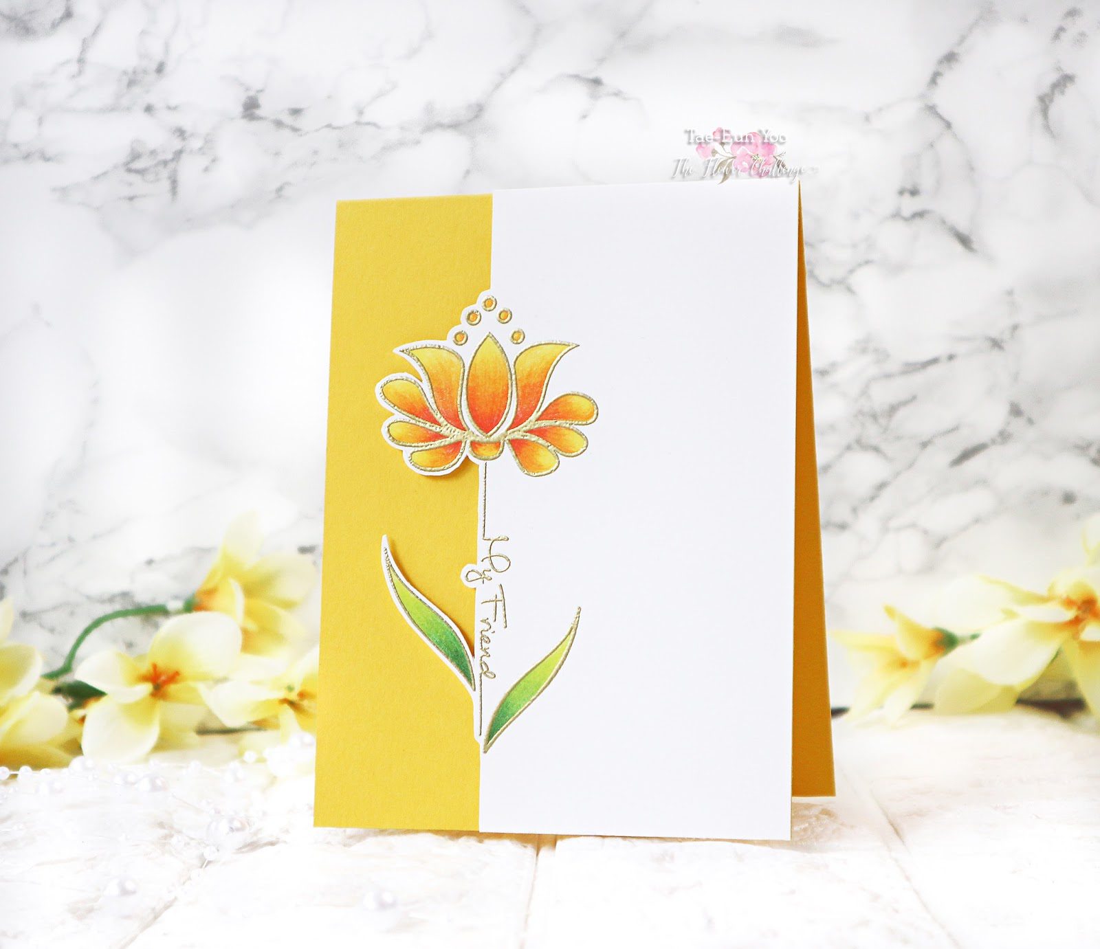 cas3ef674c9fd176649c89f9051e814eea51265cffdec397d743062752c782d724e2b13ef674c9fd176649c89f9051e814eea51265cffdec397d743062752c782d724e2bwm-1551632