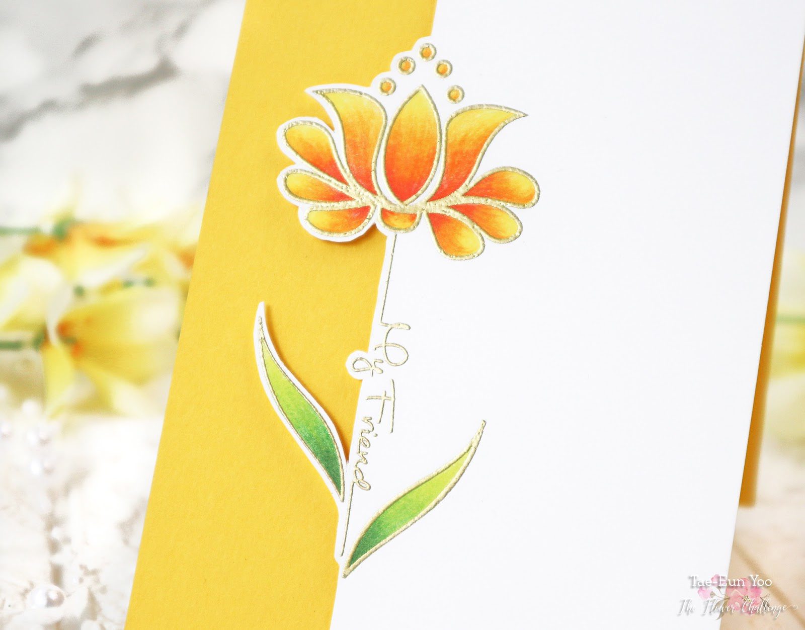 cas3ef674c9fd176649c89f9051e814eea51265cffdec397d743062752c782d724e2bcu23ef674c9fd176649c89f9051e814eea51265cffdec397d743062752c782d724e2bwm-2625735