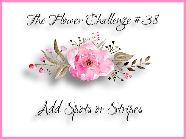 tfc383ef674c9fd176649c89f9051e814eea51265cffdec397d743062752c782d724e2b-1575097