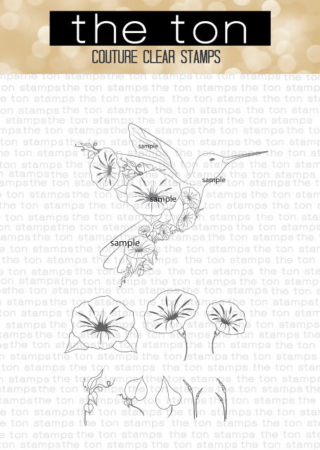 transformation3ef674c9fd176649c89f9051e814eea51265cffdec397d743062752c782d724e2bhummingbird-8264456