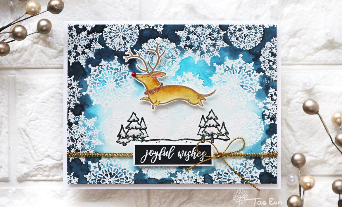 dd3ef674c9fd176649c89f9051e814eea51265cffdec397d743062752c782d724e2b13ef674c9fd176649c89f9051e814eea51265cffdec397d743062752c782d724e2bwm-5003156