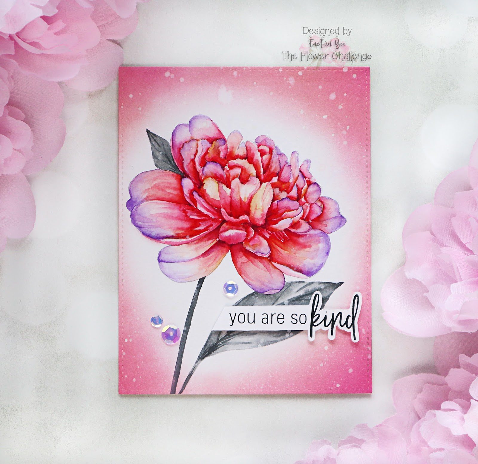 agr3ef674c9fd176649c89f9051e814eea51265cffdec397d743062752c782d724e2b13ef674c9fd176649c89f9051e814eea51265cffdec397d743062752c782d724e2bwm-5436031