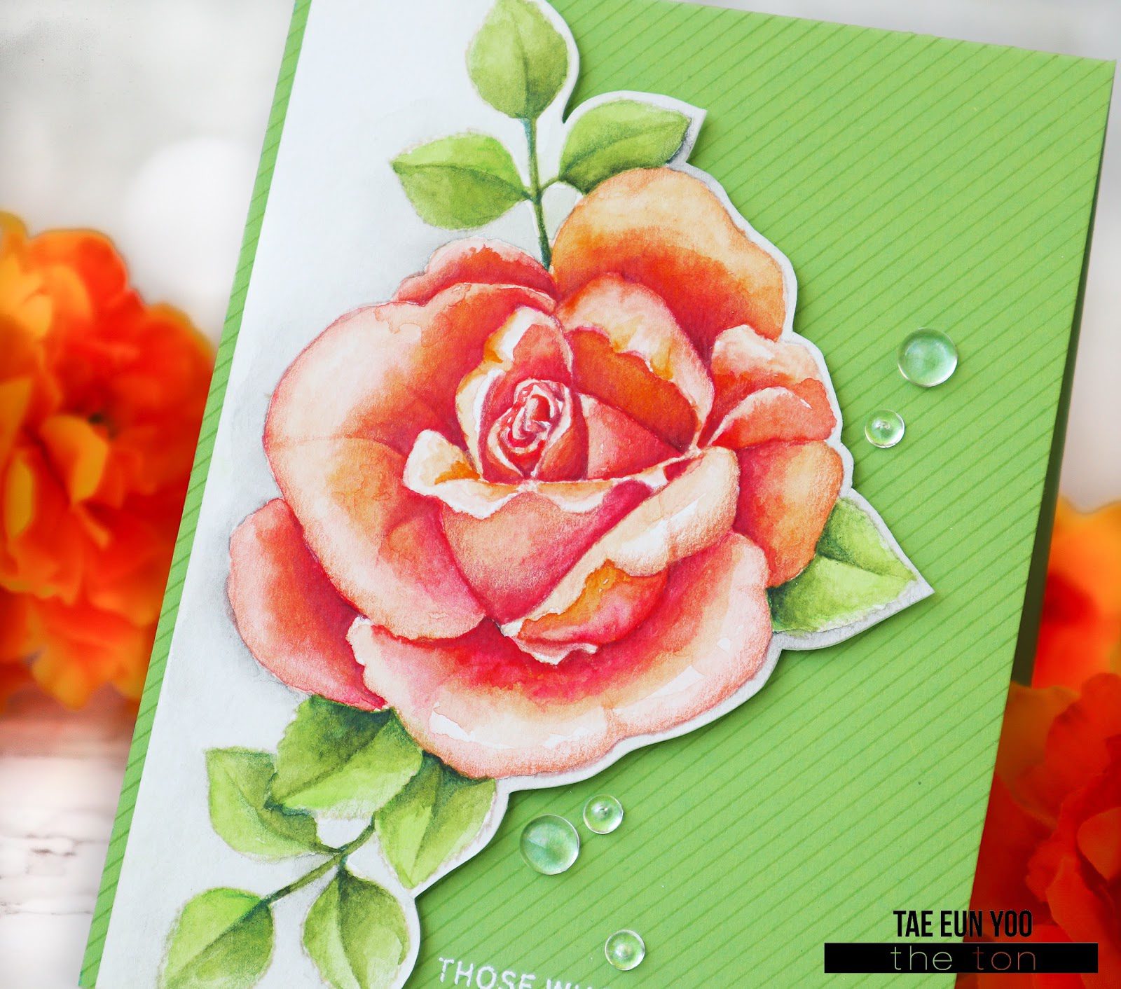 sr3ef674c9fd176649c89f9051e814eea51265cffdec397d743062752c782d724e2b53ef674c9fd176649c89f9051e814eea51265cffdec397d743062752c782d724e2bwm-9721408