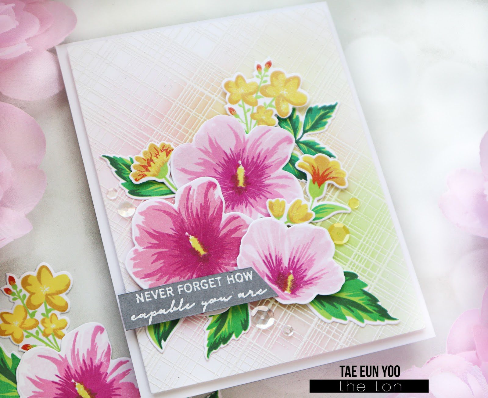 sor3ef674c9fd176649c89f9051e814eea51265cffdec397d743062752c782d724e2b33ef674c9fd176649c89f9051e814eea51265cffdec397d743062752c782d724e2bwm-1119158