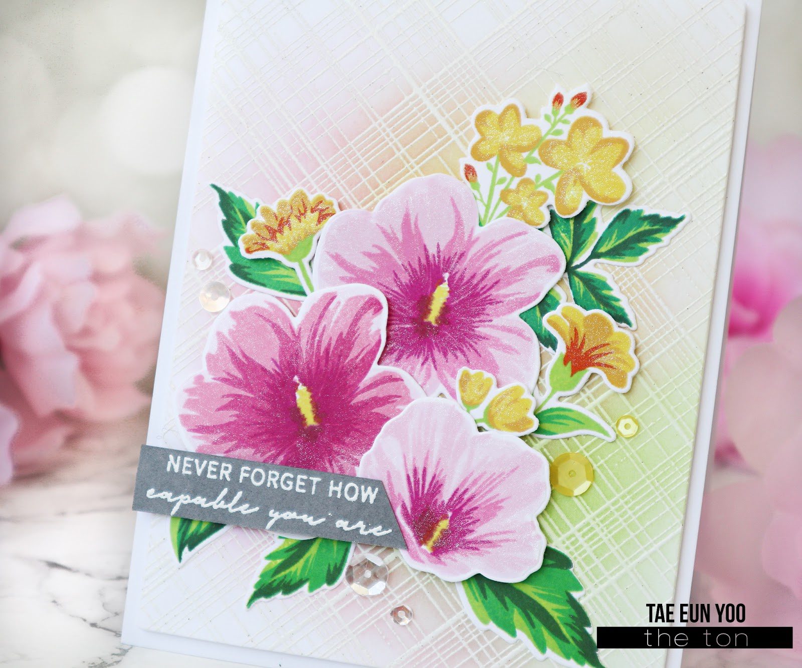 sor3ef674c9fd176649c89f9051e814eea51265cffdec397d743062752c782d724e2b53ef674c9fd176649c89f9051e814eea51265cffdec397d743062752c782d724e2bwm-3743849