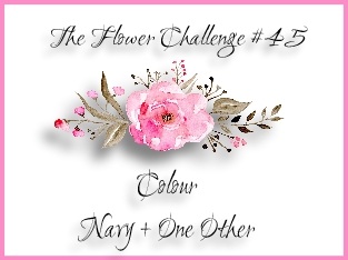 tfchallenge45-4601272