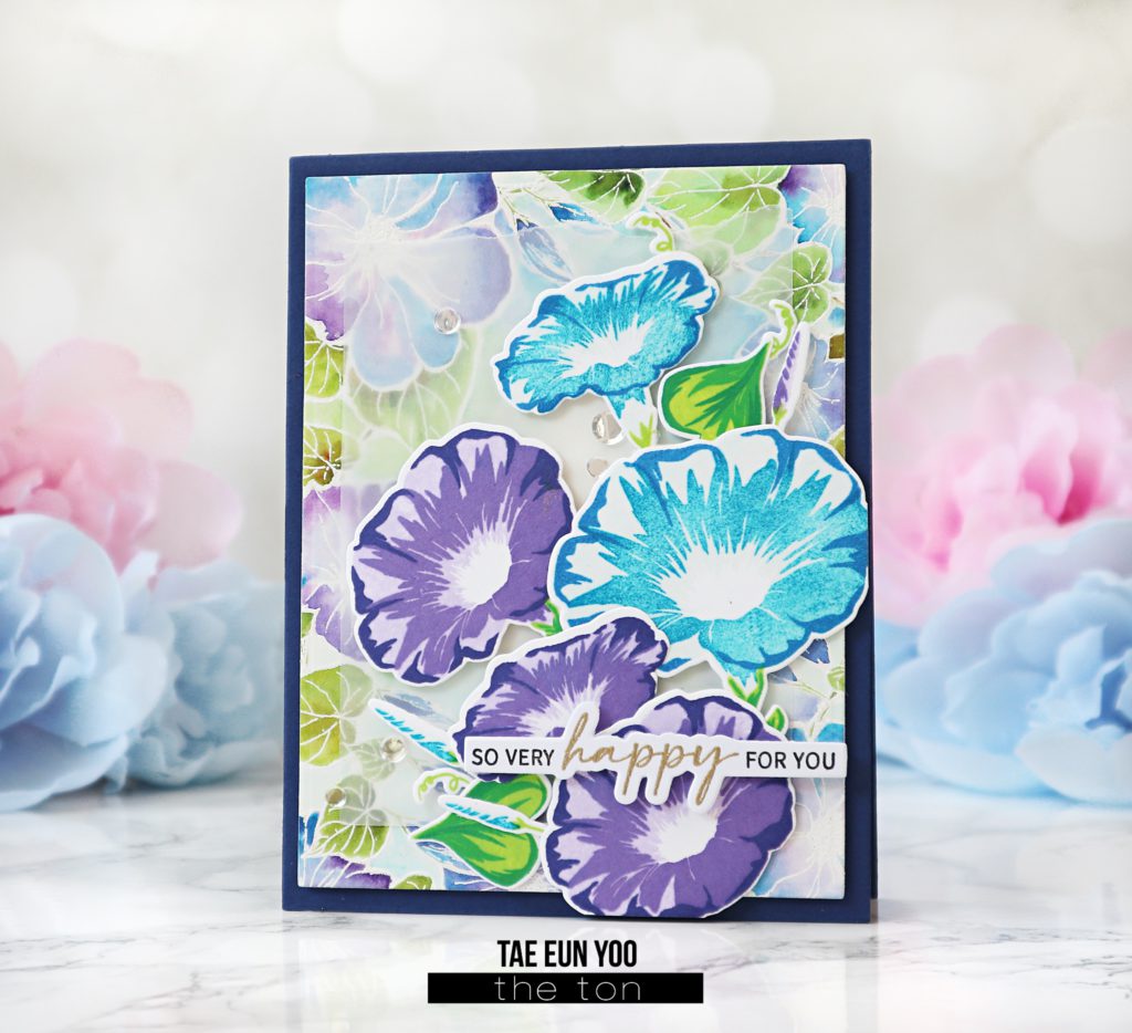 tt0520-1-3-wm-2219117