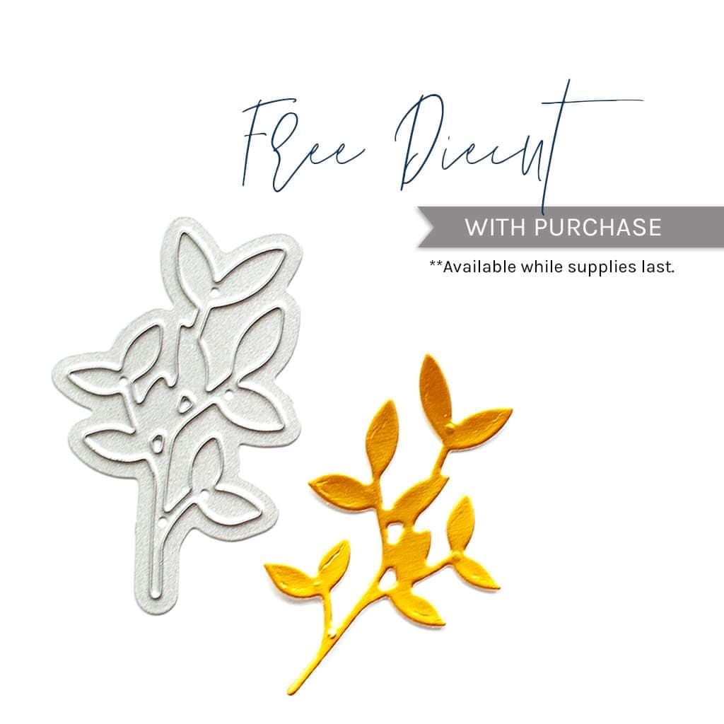 187434601_138290685020690_6316679478922774008_n