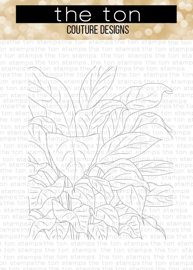 refreshing-evergreen