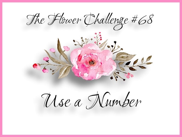 68-badge-use-a-number