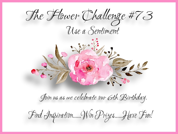 tfc-73-use-a-sentiment