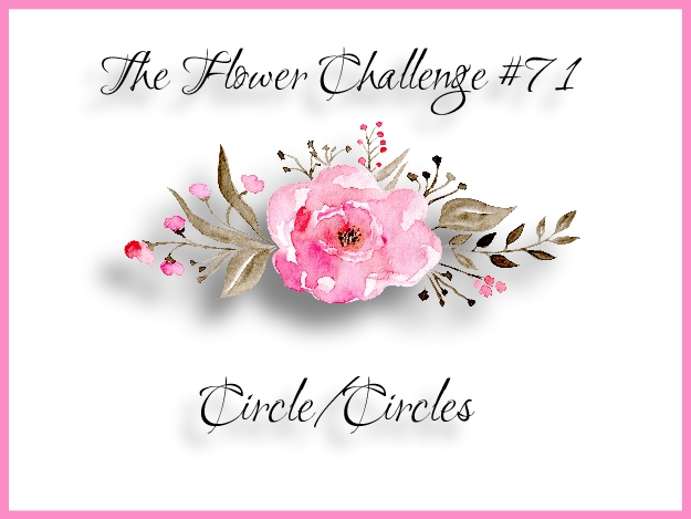 tfc-71-circle