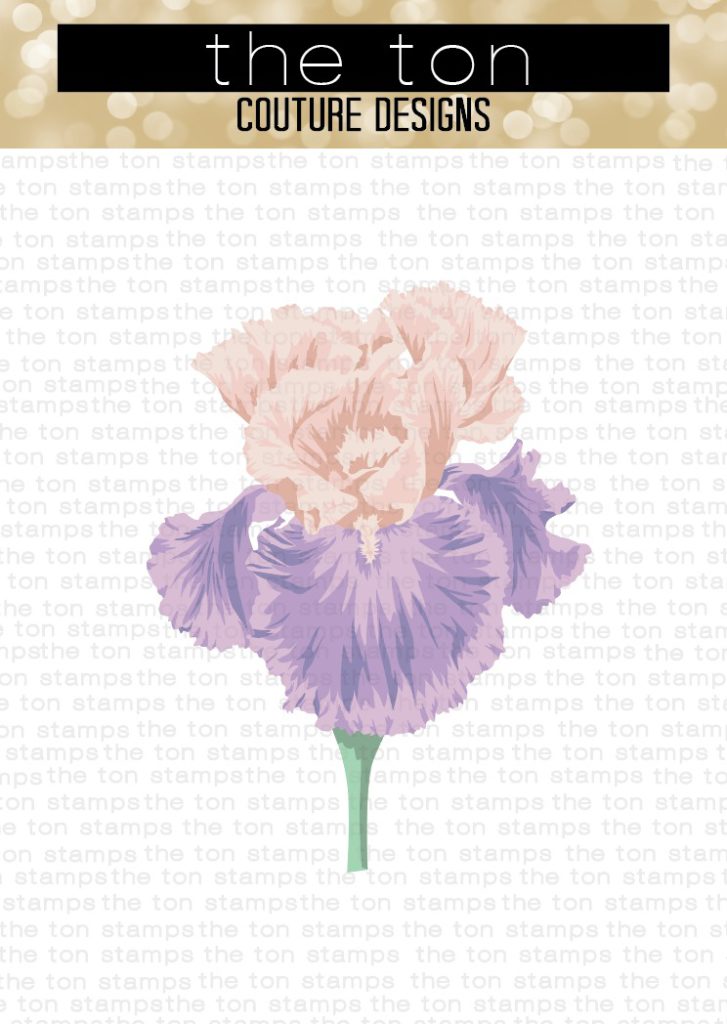 jumbo-iris-stencils