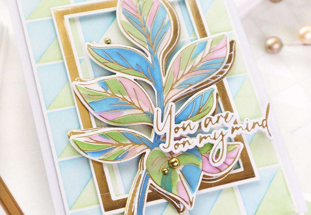 pfch-jan-taeeun-yoocu1