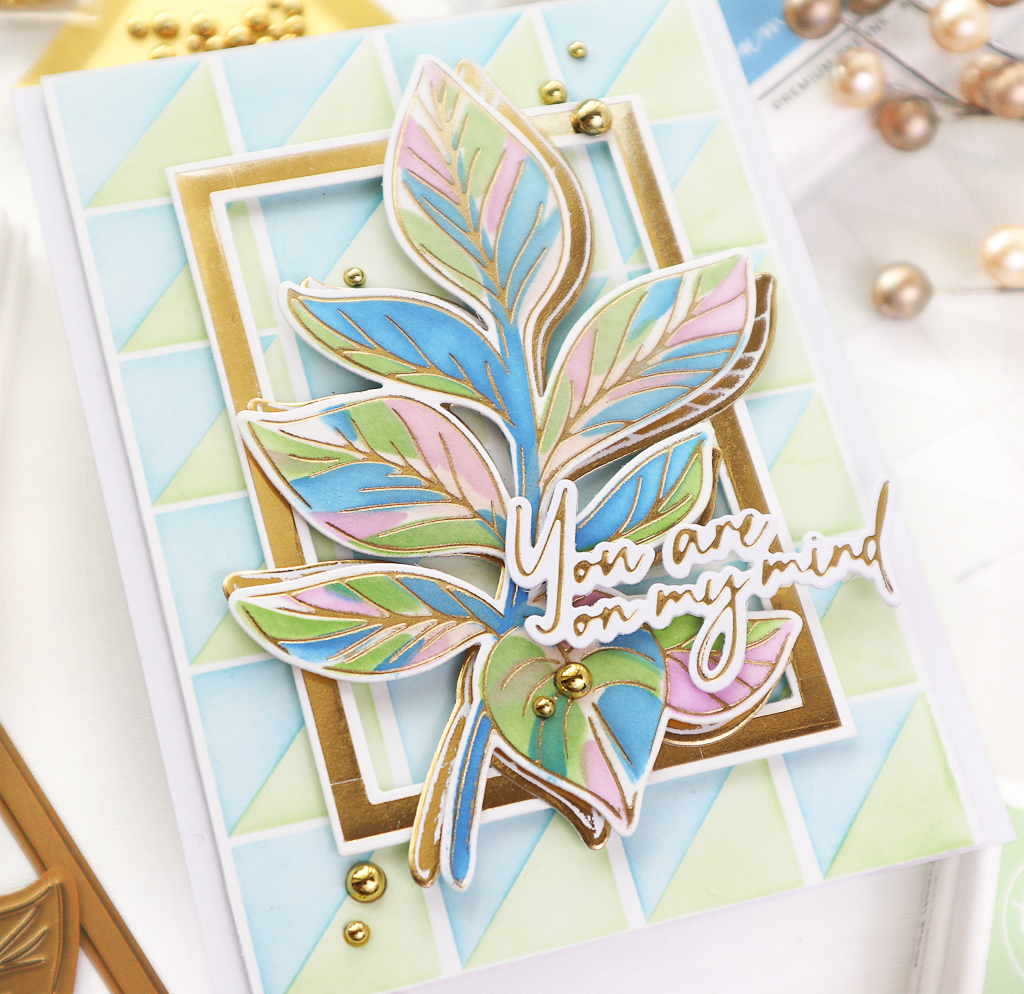 pfch-jan-taeeun-yoocu1